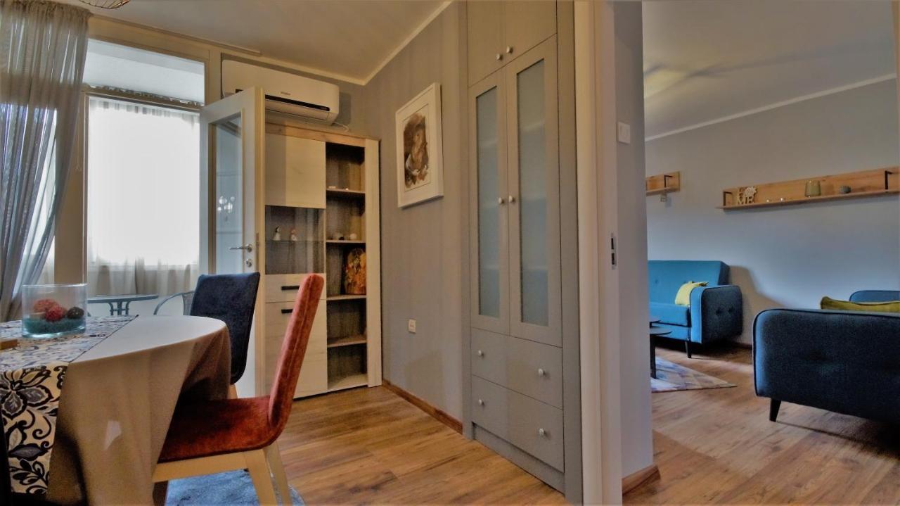 Apartment Dejan Center