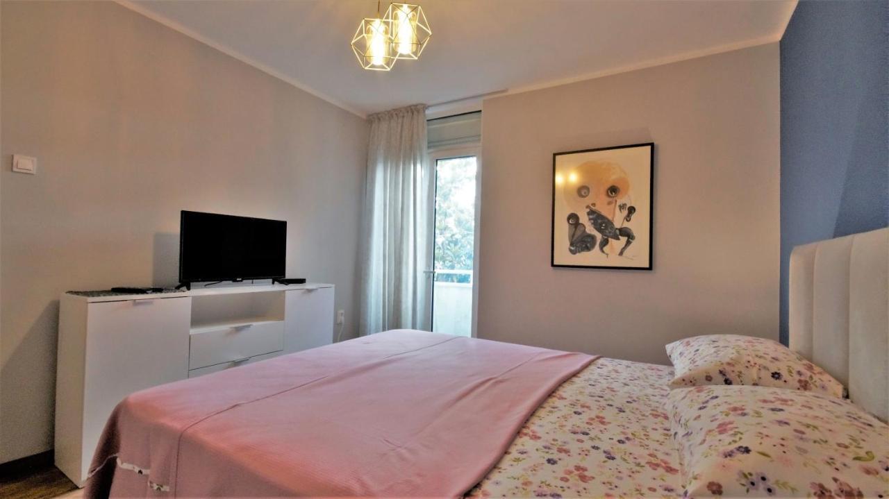 Dejan Center * Budva